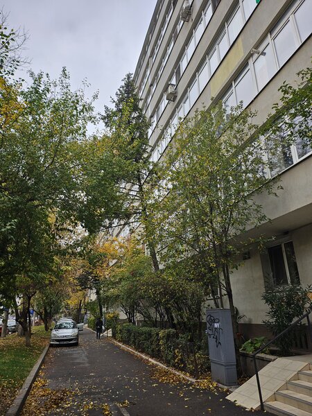 Bd. Ion Mihalache-Piata Domenii